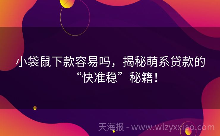 小袋鼠下款容易吗，揭秘萌系贷款的“快准稳”秘籍！