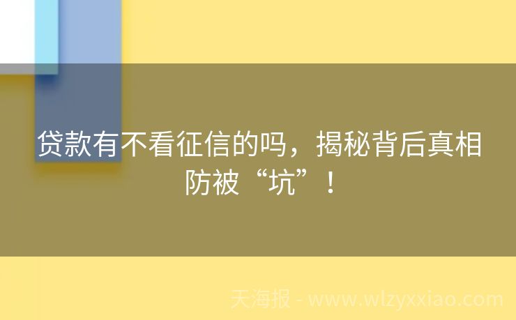 贷款有不看征信的吗，揭秘背后真相防被“坑”！