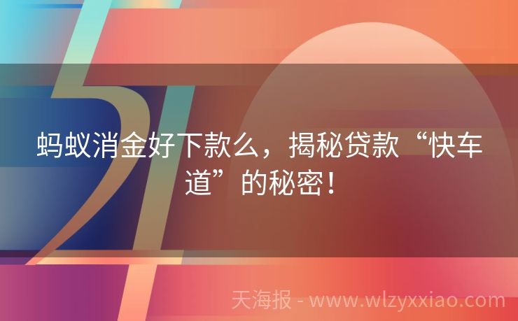 蚂蚁消金好下款么，揭秘贷款“快车道”的秘密！