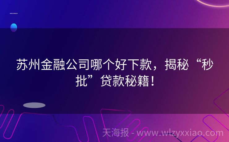 苏州金融公司哪个好下款，揭秘“秒批”贷款秘籍！