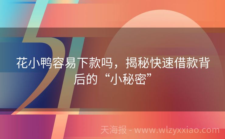 花小鸭容易下款吗，揭秘快速借款背后的“小秘密”
