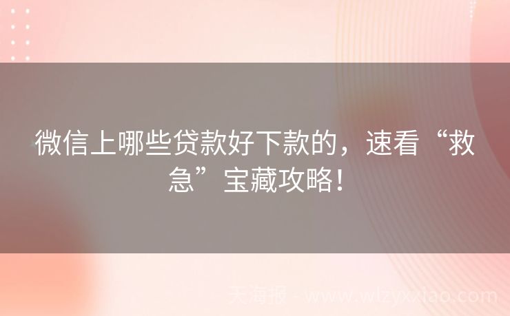 微信上哪些贷款好下款的，速看“救急”宝藏攻略！