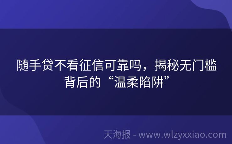 随手贷不看征信可靠吗，揭秘无门槛背后的“温柔陷阱”
