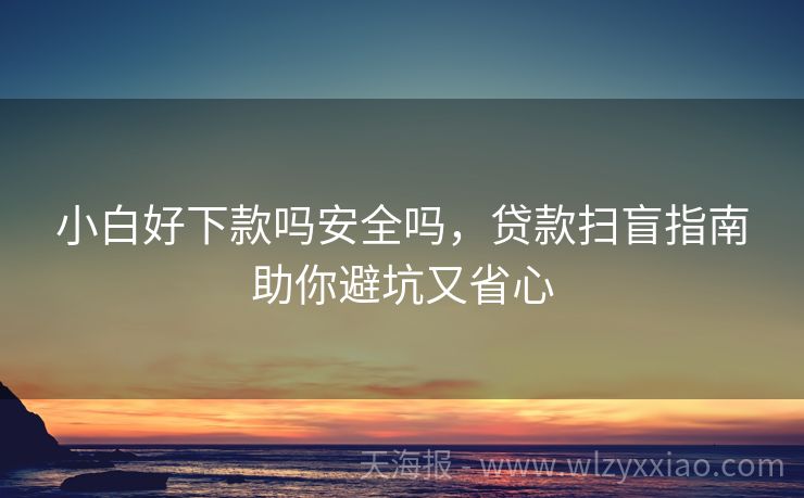 小白好下款吗安全吗，贷款扫盲指南助你避坑又省心