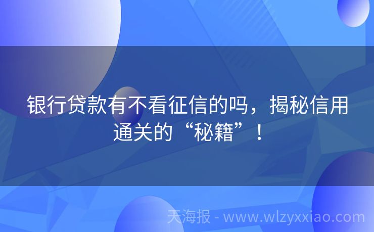 银行贷款有不看征信的吗，揭秘信用通关的“秘籍”！