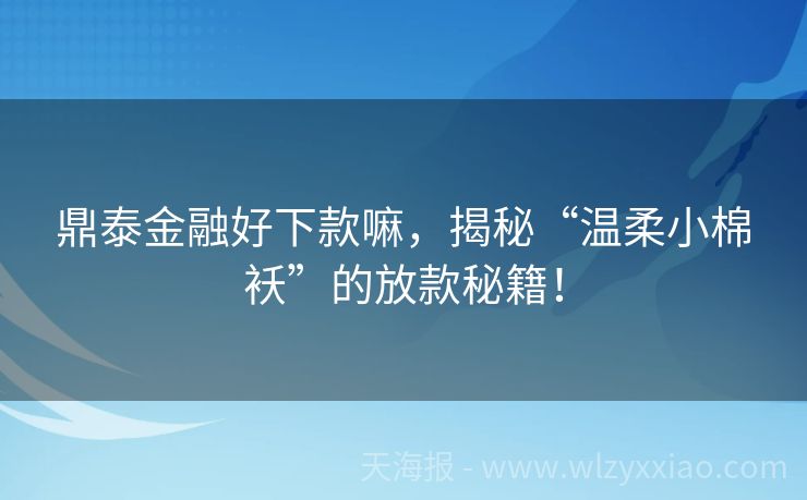 鼎泰金融好下款嘛，揭秘“温柔小棉袄”的放款秘籍！