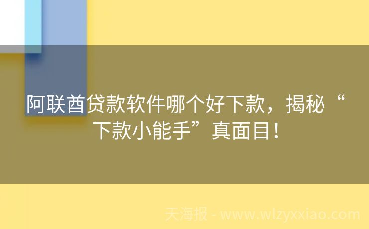 阿联酋贷款软件哪个好下款，揭秘“下款小能手”真面目！