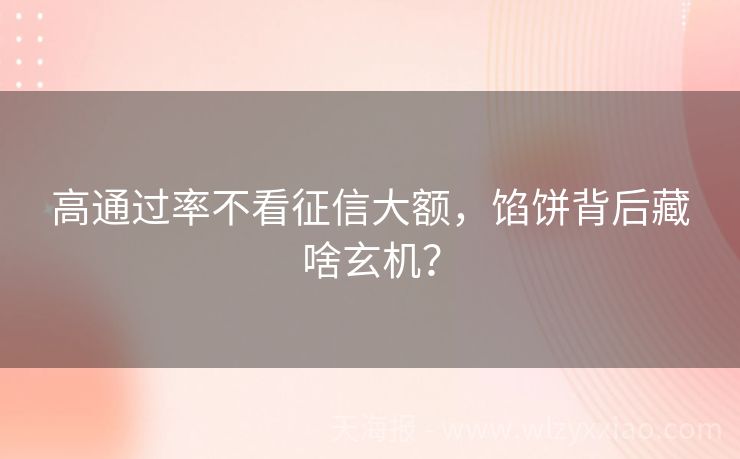 高通过率不看征信大额，馅饼背后藏啥玄机？