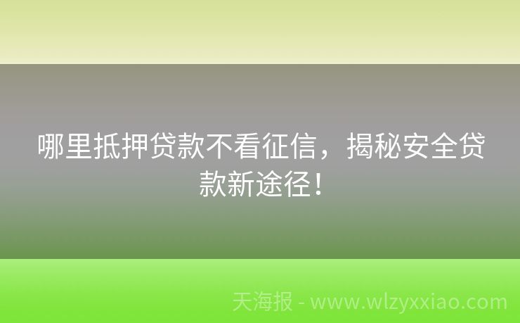 哪里抵押贷款不看征信，揭秘安全贷款新途径！
