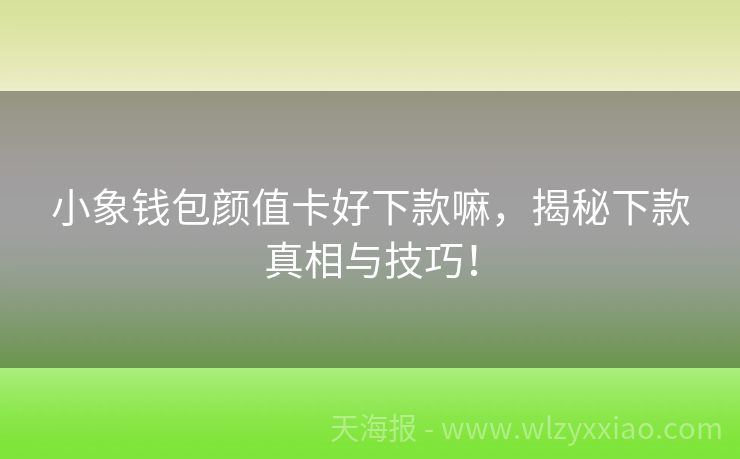 小象钱包颜值卡好下款嘛，揭秘下款真相与技巧！