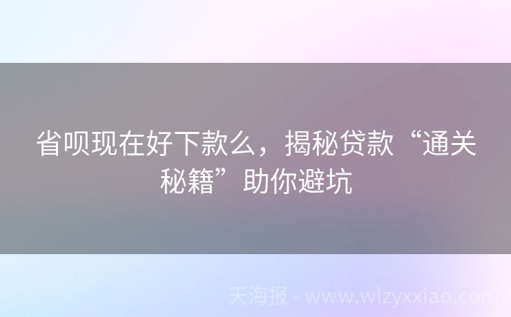 省呗现在好下款么，揭秘贷款“通关秘籍”助你避坑