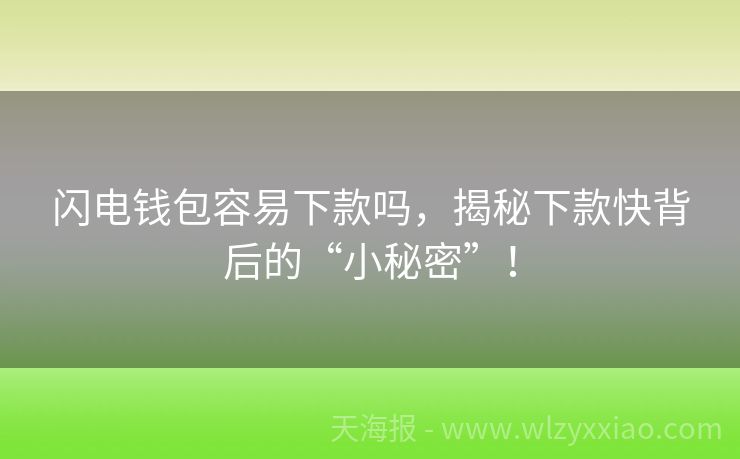 闪电钱包容易下款吗，揭秘下款快背后的“小秘密”！
