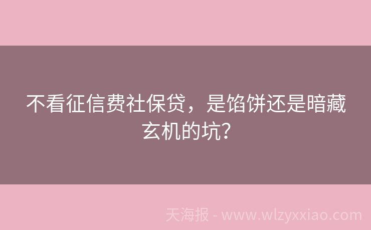 不看征信费社保贷，是馅饼还是暗藏玄机的坑？