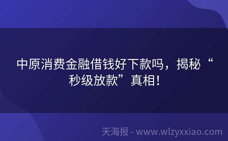 中原消费金融借钱好下款吗，揭秘“秒级放款”真相！