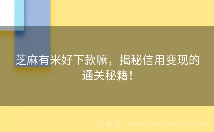 芝麻有米好下款嘛，揭秘信用变现的通关秘籍！