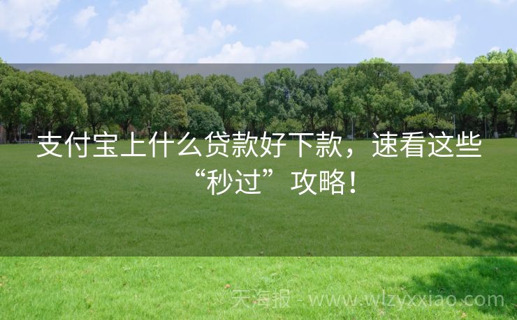 支付宝上什么贷款好下款，速看这些“秒过”攻略！