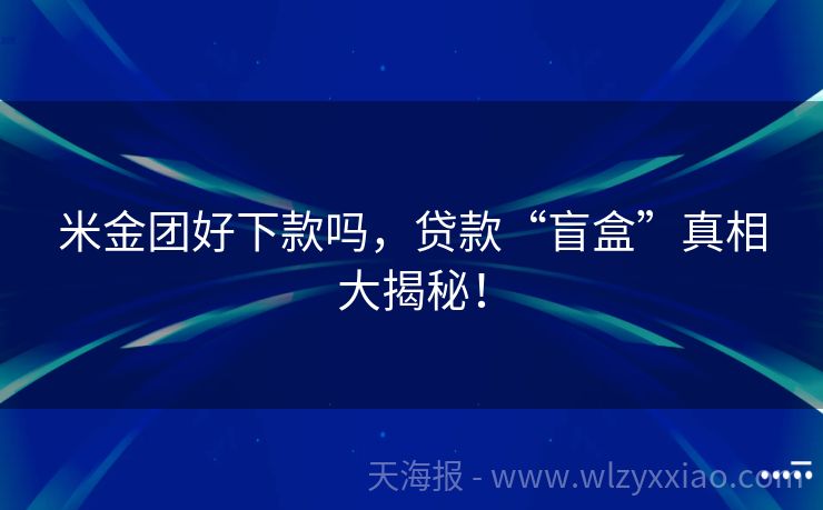 米金团好下款吗，贷款“盲盒”真相大揭秘！