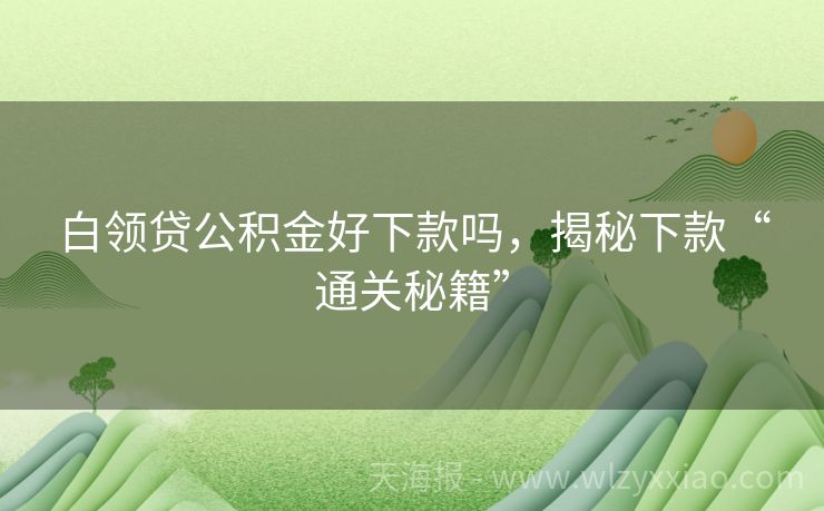 白领贷公积金好下款吗，揭秘下款“通关秘籍”