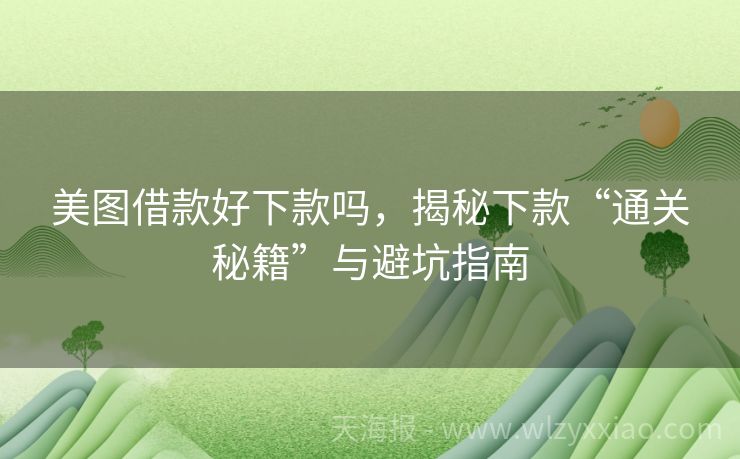 美图借款好下款吗，揭秘下款“通关秘籍”与避坑指南