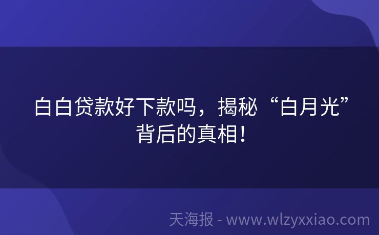 白白贷款好下款吗，揭秘“白月光”背后的真相！