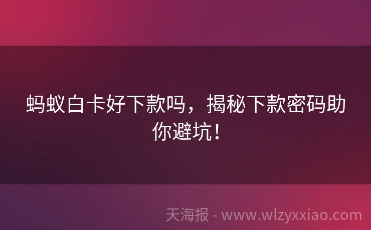 蚂蚁白卡好下款吗，揭秘下款密码助你避坑！
