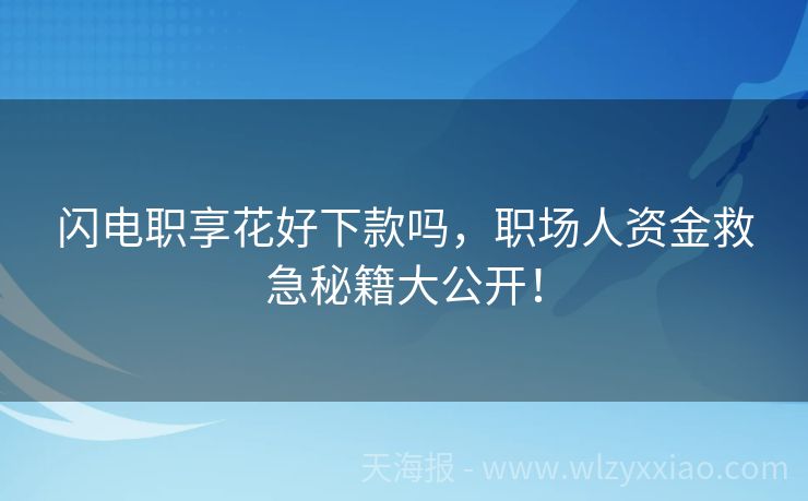 闪电职享花好下款吗，职场人资金救急秘籍大公开！