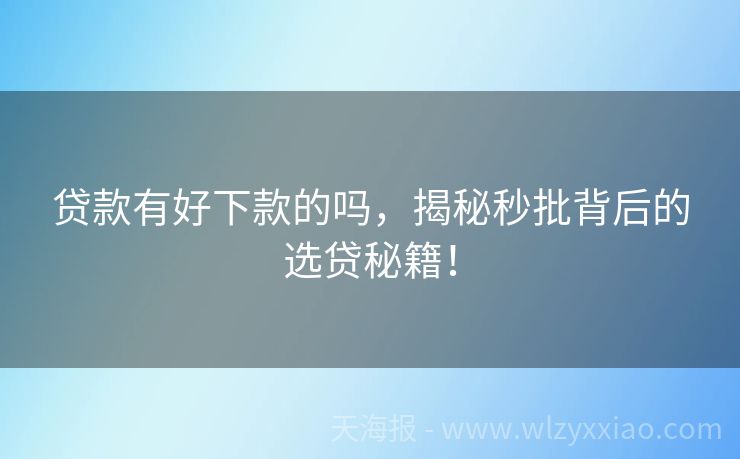 贷款有好下款的吗，揭秘秒批背后的选贷秘籍！