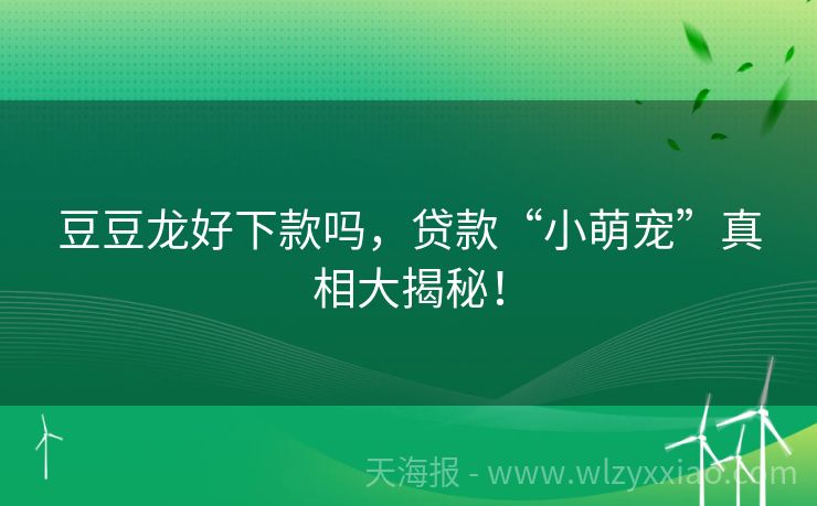 豆豆龙好下款吗，贷款“小萌宠”真相大揭秘！