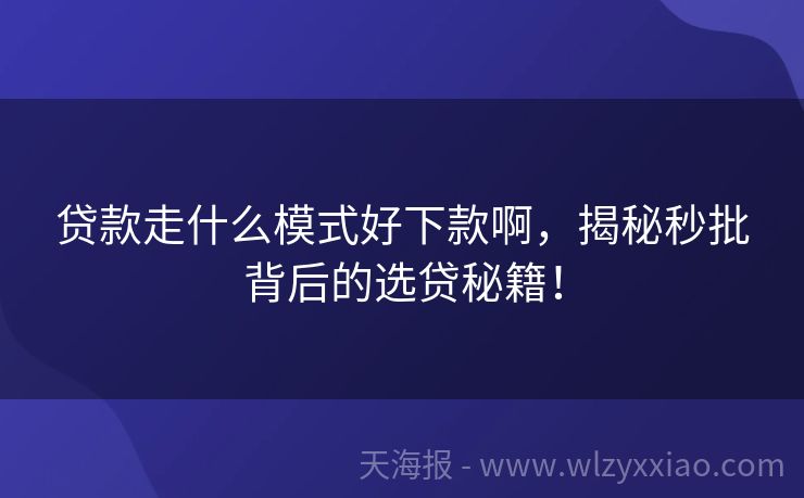 贷款走什么模式好下款啊，揭秘秒批背后的选贷秘籍！