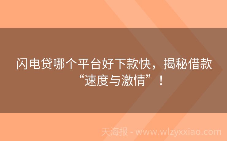 闪电贷哪个平台好下款快，揭秘借款“速度与激情”！