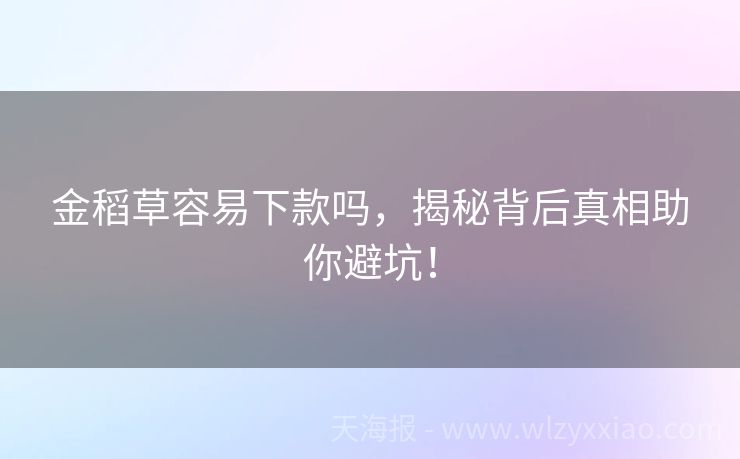 金稻草容易下款吗，揭秘背后真相助你避坑！