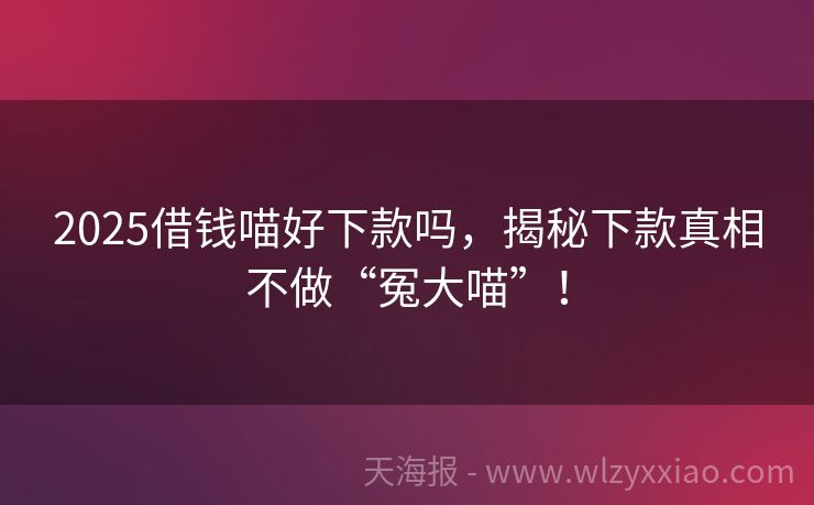 2025借钱喵好下款吗，揭秘下款真相不做“冤大喵”！