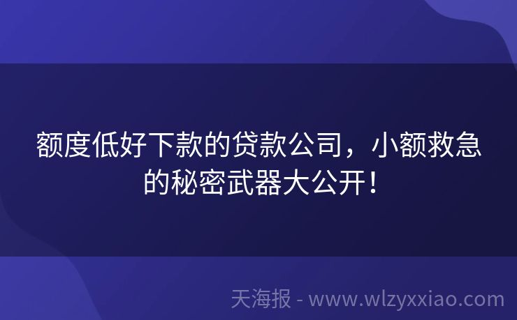 额度低好下款的贷款公司，小额救急的秘密武器大公开！