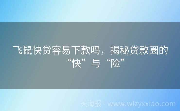 飞鼠快贷容易下款吗，揭秘贷款圈的“快”与“险”
