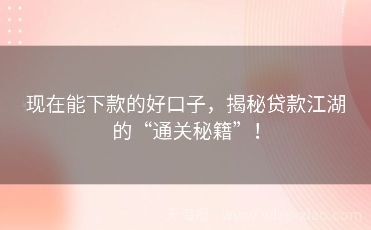 现在能下款的好口子，揭秘贷款江湖的“通关秘籍”！