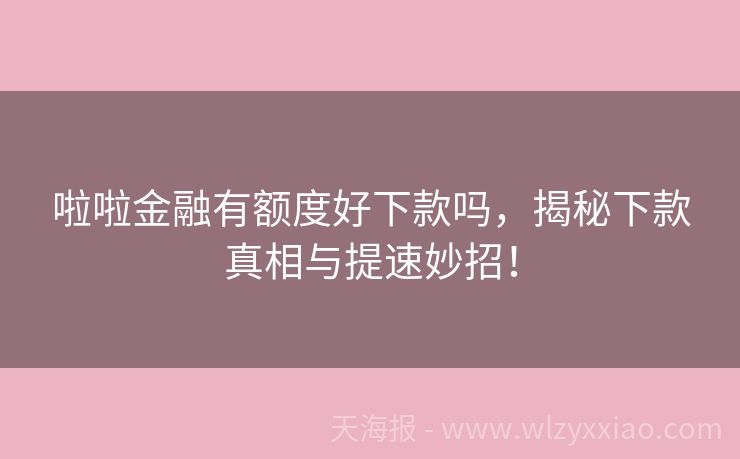 啦啦金融有额度好下款吗，揭秘下款真相与提速妙招！