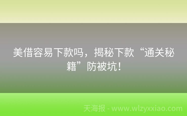 美借容易下款吗，揭秘下款“通关秘籍”防被坑！