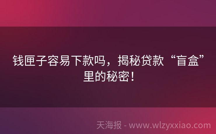 钱匣子容易下款吗，揭秘贷款“盲盒”里的秘密！