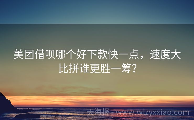 美团借呗哪个好下款快一点，速度大比拼谁更胜一筹？