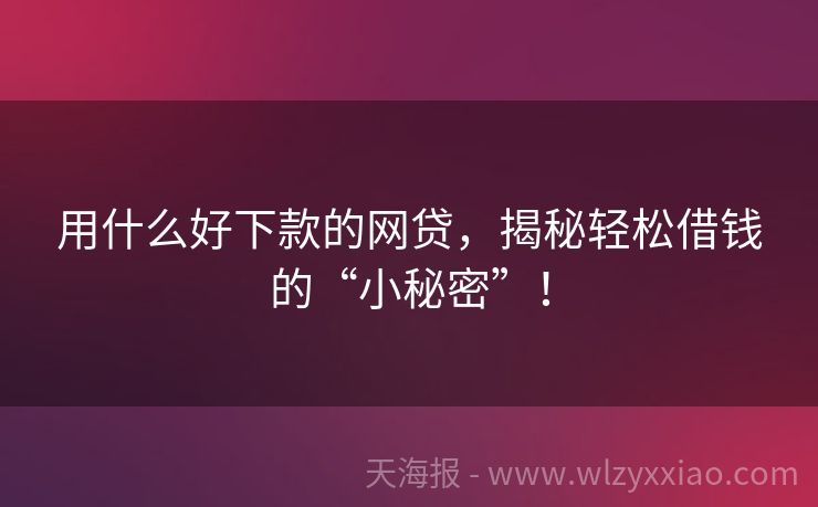 用什么好下款的网贷，揭秘轻松借钱的“小秘密”！