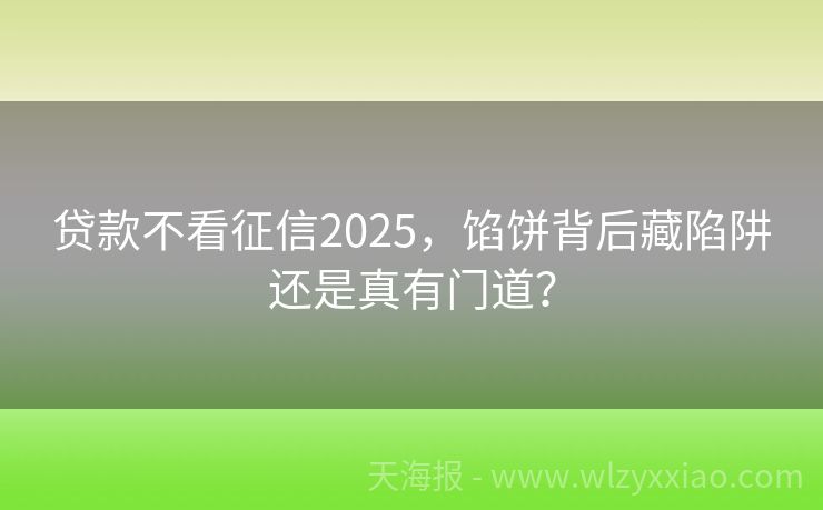 贷款不看征信2025，馅饼背后藏陷阱还是真有门道？