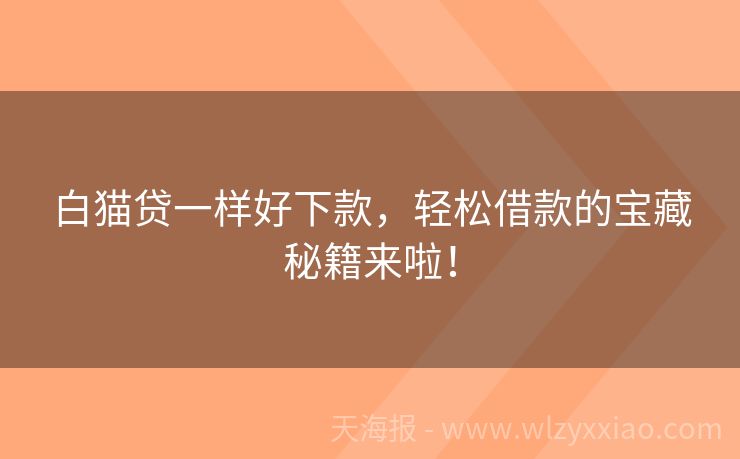白猫贷一样好下款，轻松借款的宝藏秘籍来啦！