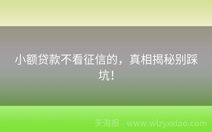 小额贷款不看征信的，真相揭秘别踩坑！