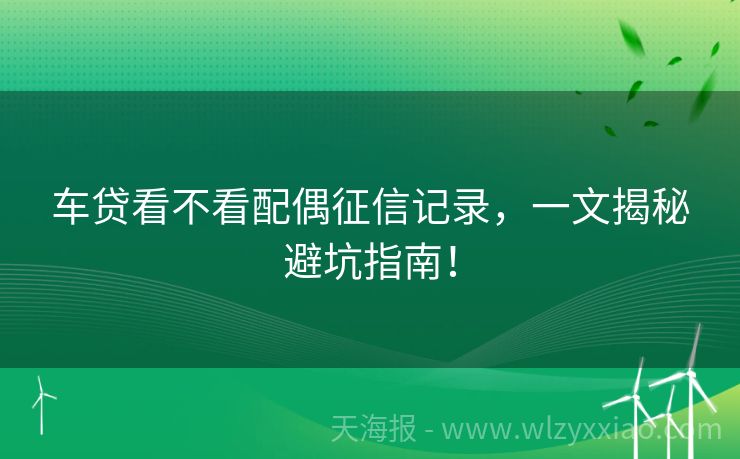 车贷看不看配偶征信记录，一文揭秘避坑指南！
