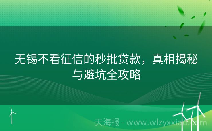 无锡不看征信的秒批贷款，真相揭秘与避坑全攻略
