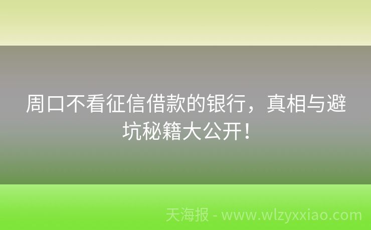 周口不看征信借款的银行，真相与避坑秘籍大公开！