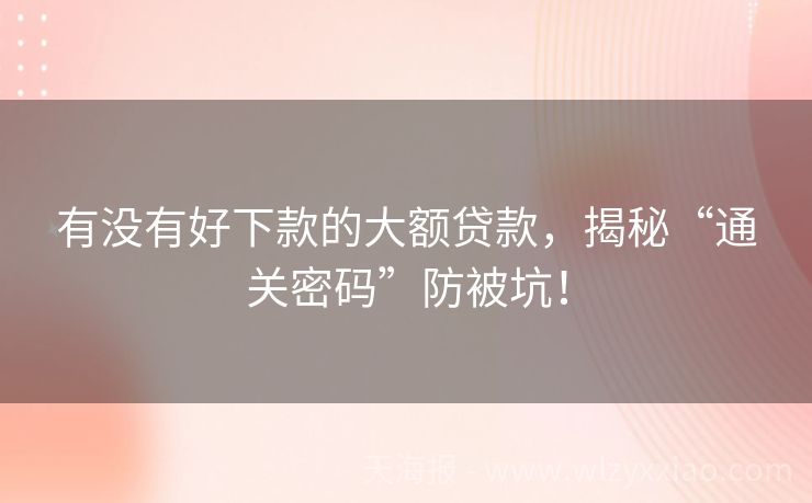 有没有好下款的大额贷款，揭秘“通关密码”防被坑！