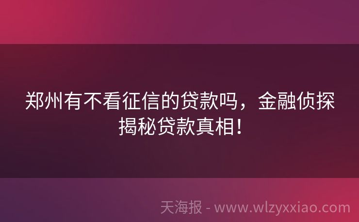 郑州有不看征信的贷款吗，金融侦探揭秘贷款真相！