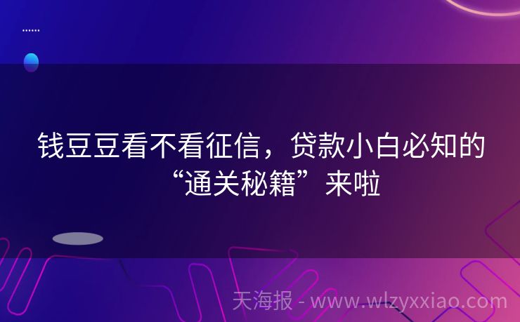 钱豆豆看不看征信，贷款小白必知的“通关秘籍”来啦