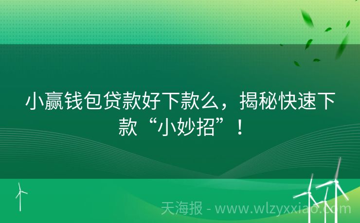 小赢钱包贷款好下款么，揭秘快速下款“小妙招”！